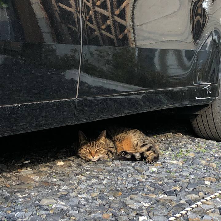 D7ac6d90 112b 46f9 b854 5d1ee50a4a37 1580739688551