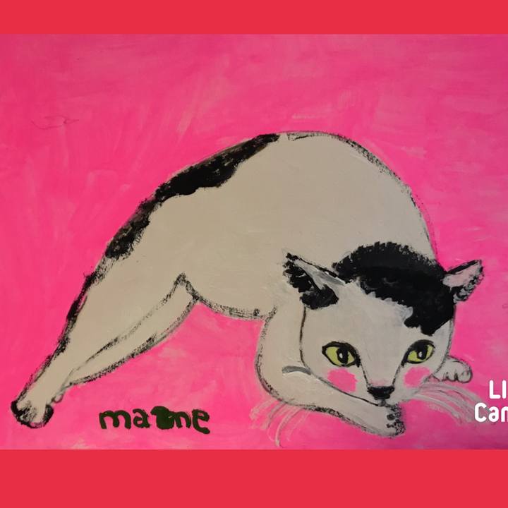 D7ac7441 2a33 419d 8976 e64acd13c072 1611915975858