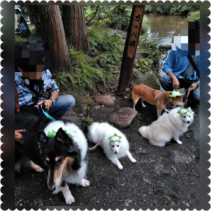 D7acac7c 6a7b 43a4 877a c9e19c08a741 1538828454666