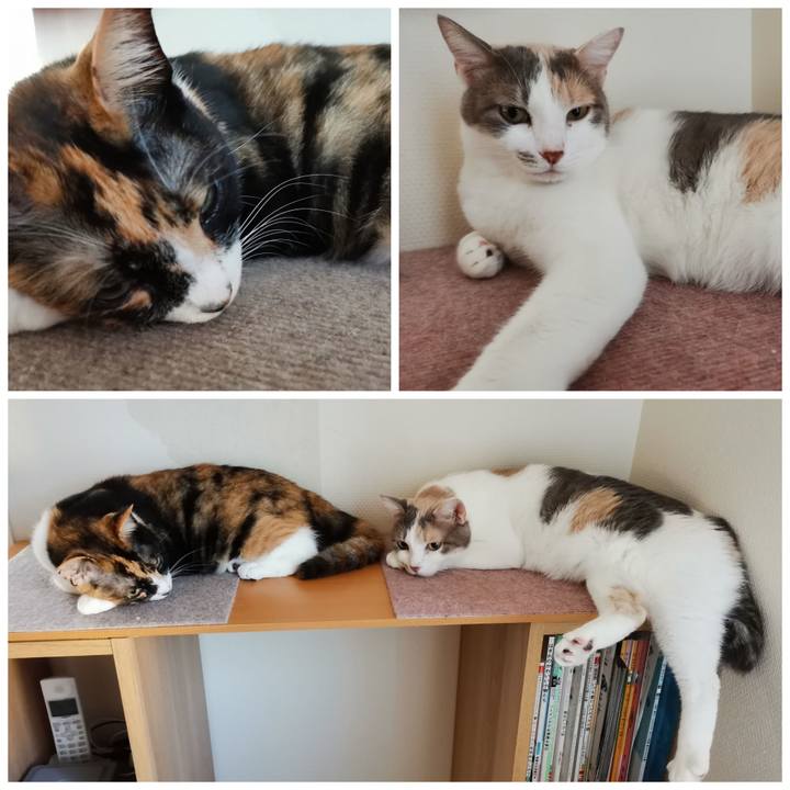 D7acdf50 3647 4d35 8a58 f89f1ec3907a 1627719195841