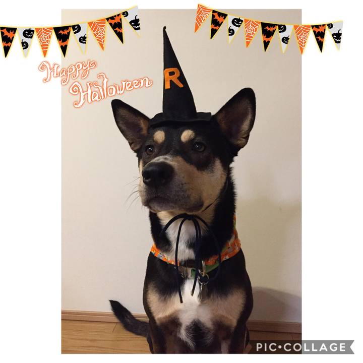 D7ad098e 7116 4265 8e0d b4e39b8b7237 1540904049971