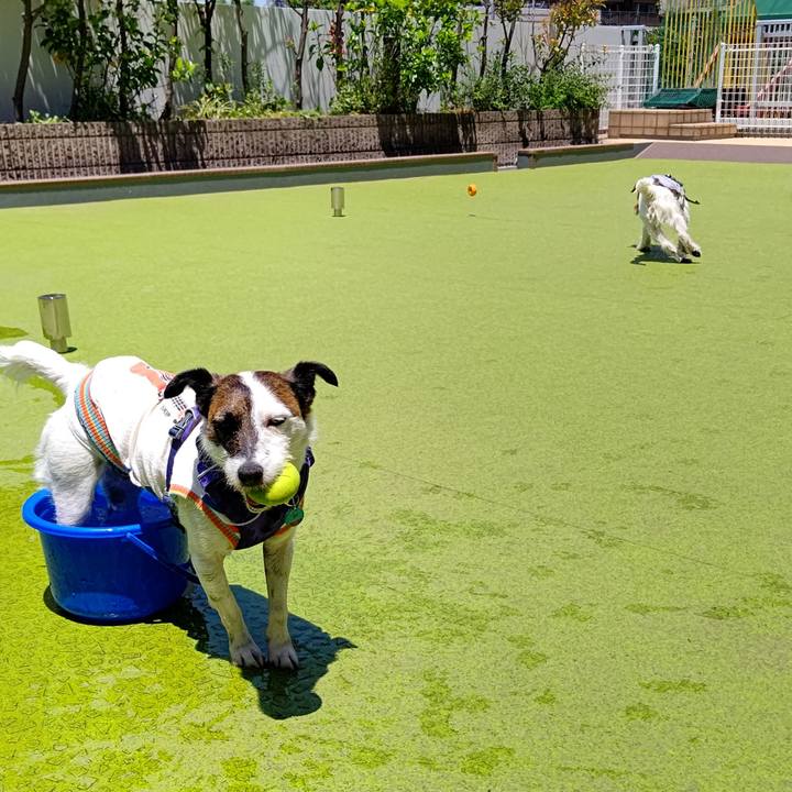 D7ad15f3 d2ef 42e4 812d d0be085d10b5 1621913625471