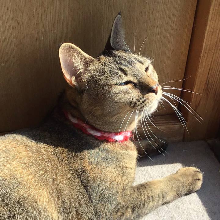 D7ad1f40 f34a 4936 83d7 68e6b6615577 1605234970813