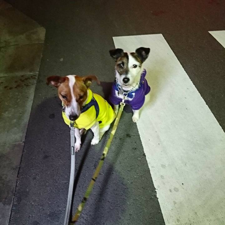 D7ad2bce 9475 4058 bdba 1e0909c604d6 1552566437075