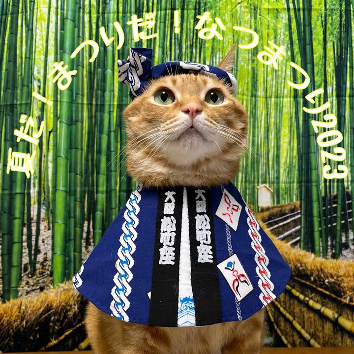 D7ad65c4 8156 4f0a bd97 8d03d1831104 1693004196198