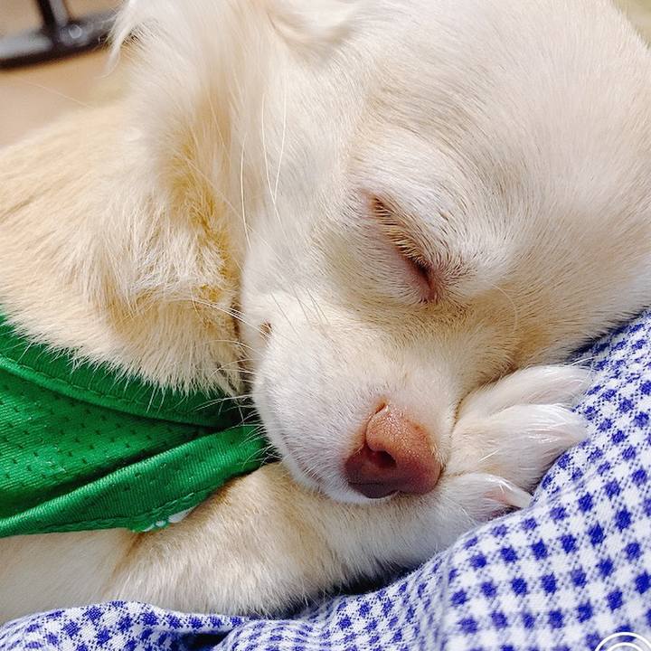 D7adfe69 46e1 4e29 a22a 9d090c9b9ebc 1599212193887