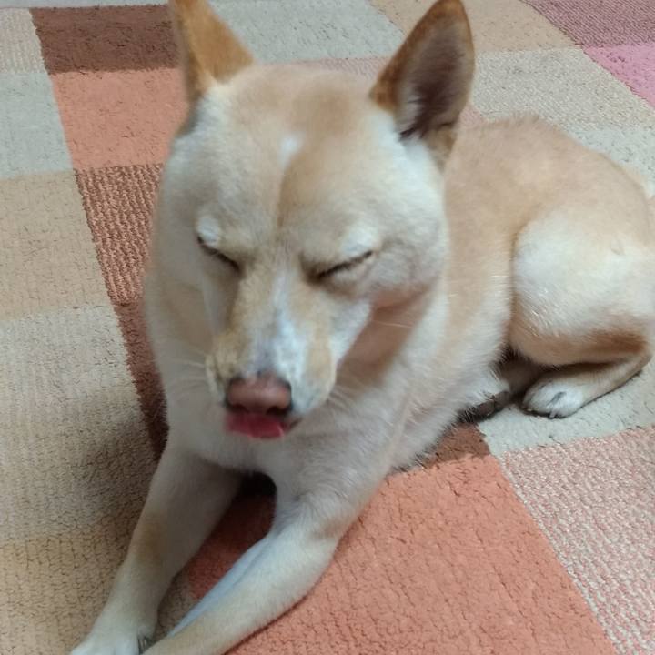 D7ae0b97 6d0a 4724 99a1 22b220922caf 1546333864850