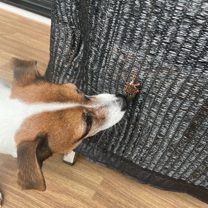 D7ae5a55 f2d8 4d87 b999 184387801671 1755039695301