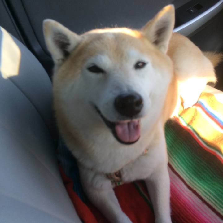 D7ae911e b2d3 428f 868f 21367abb9081 1763965376646