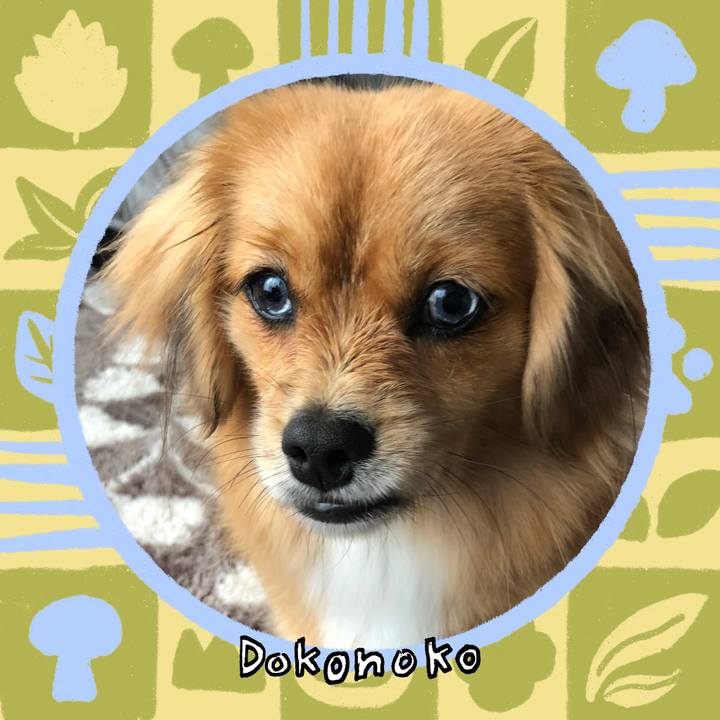 D7aeabb9 7098 4e69 86ad 88b5a8498c33 1761597961342