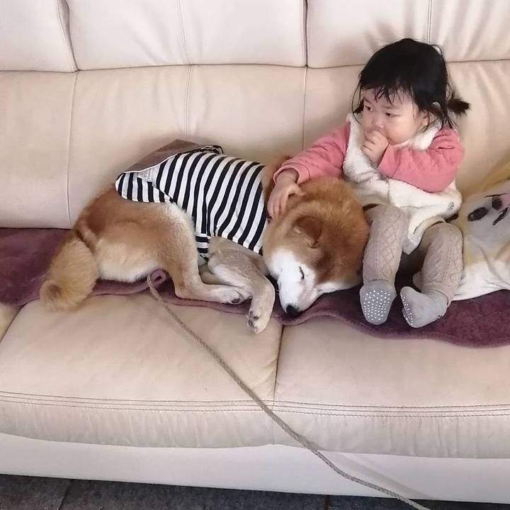 D7aeadf7 5db4 46cb 983e da3967f55c46 1728359956702