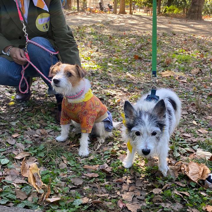 D7aeb250 43b6 4b17 aab3 b2ac3582ad7c 1606563289917