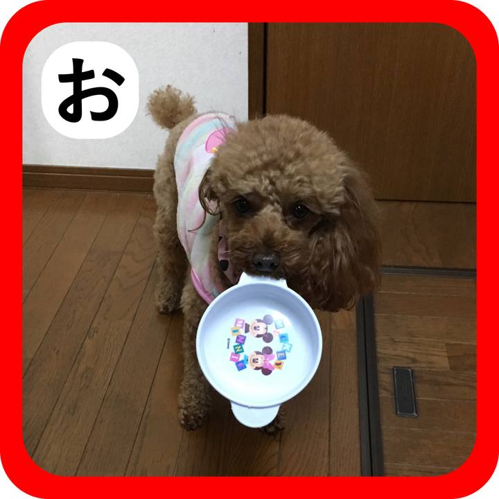 D7aef2bd e7cd 46f6 ad3e 7d3958f272f1 1514977995485