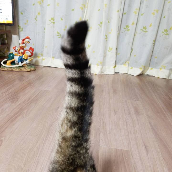 D7af20e3 c25b 448c ac6b 2a18e4d984ec 1578433243687