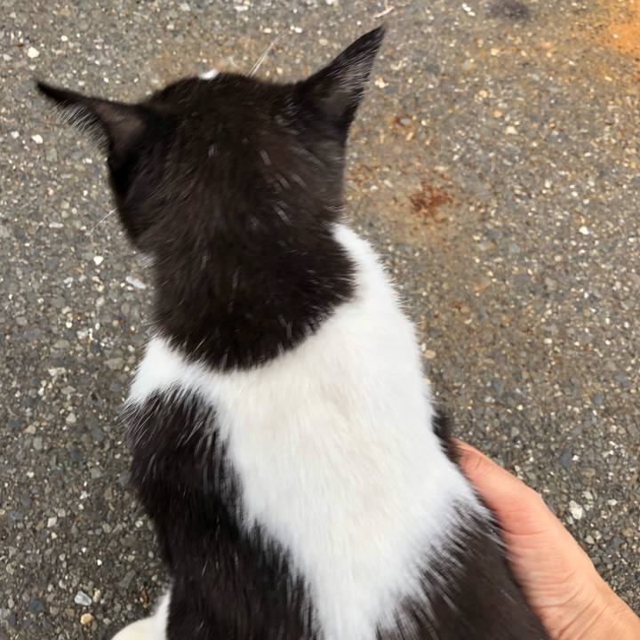 D7af63e2 d652 4eae a286 731cb16ff9e8 1538763814019