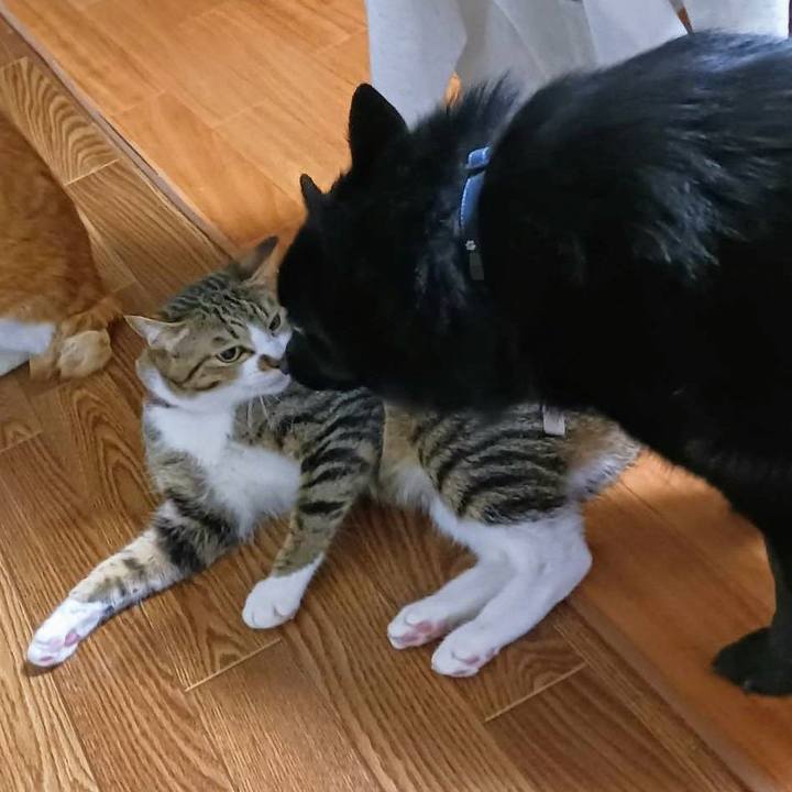 D7af8572 8873 44f1 acaa 16ad78bd7055 1706222539304