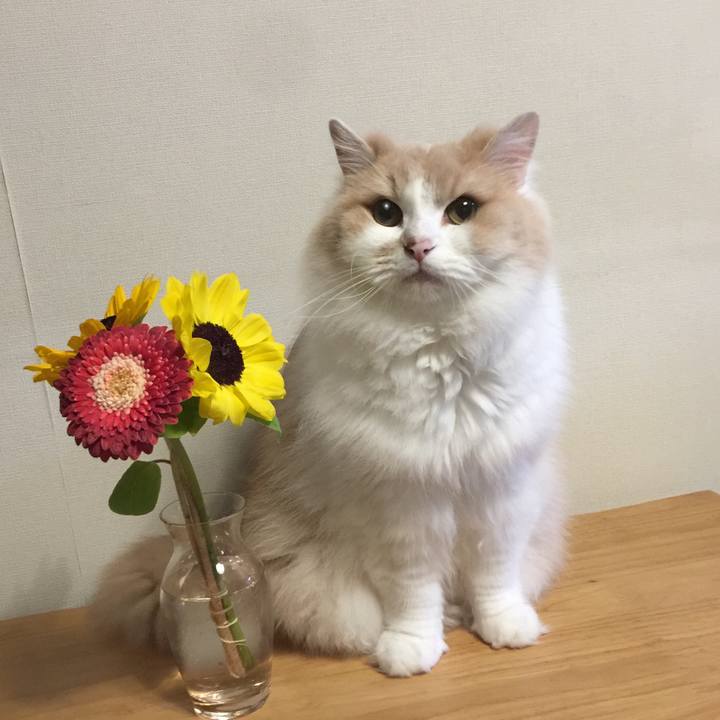 D7af8f6e 70ac 46f6 a145 60cad31f2e18 1564991612514