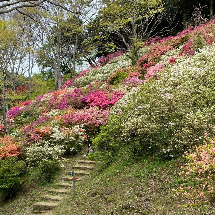 D7b00af2 c717 4767 8b5b c67319ffe841 1650254489196