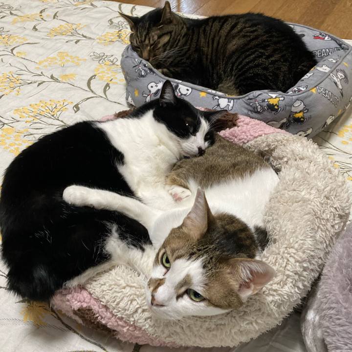 D7b0207f d128 4c7e 9bff fef7b50e0c6d 1701730528913