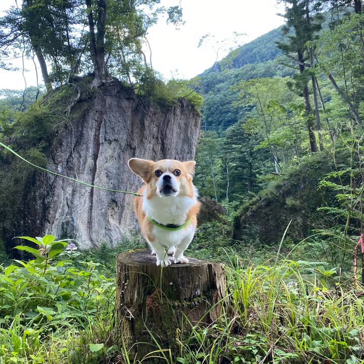 D7b0d8a2 c975 4144 95a7 04fd5ea2326a 1662798121807