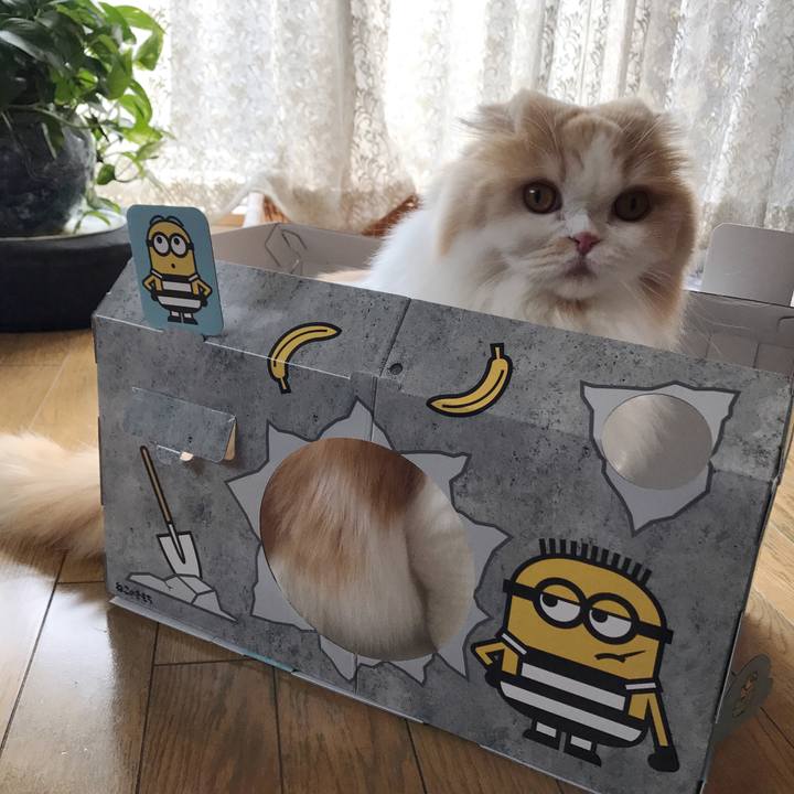 D7b11b29 9acc 4f30 9bb2 a11da4d768ad 1514127690560