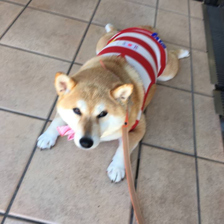 D7b1239a 6654 4984 8c8f 1671a591b082 1560675661611