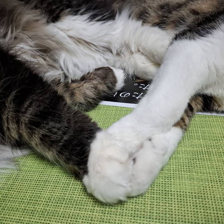 D7b13c1e 824d 4bba ada6 f2653d63a2be 1743430235567