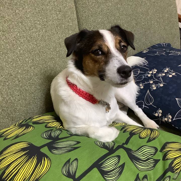 D7b155bc 2175 4370 9eb8 918acd225bca 1570960882361