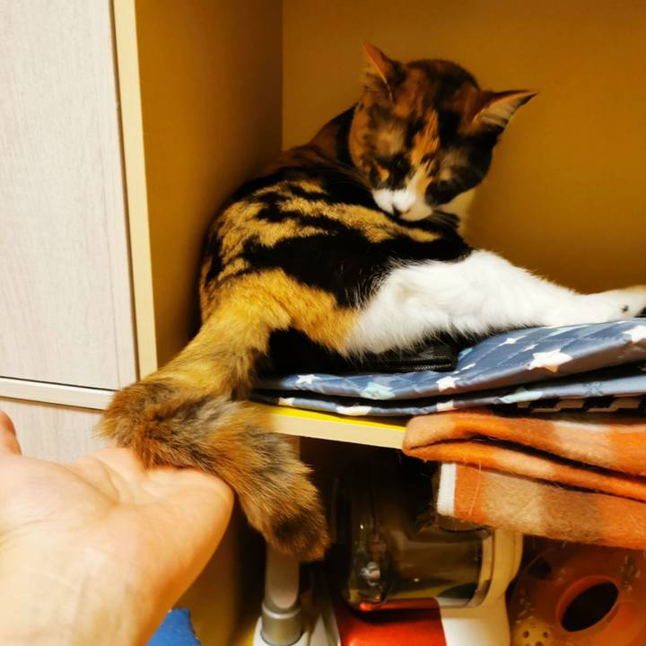 D7b17047 3c0f 4e0d 8e7b 98041ef9c3f4 1655010378838