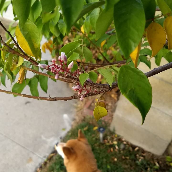 D7b1f027 9f4e 40a3 84d5 5f54ce450926 1507985720952