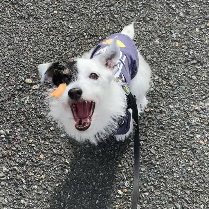 D7b205ca dc72 4b57 88b3 3058005956fe 1729554388740