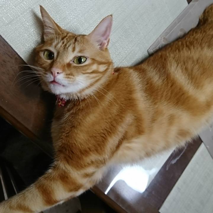 D7b20ef4 1804 4bd8 aa3c bbd80abf2591 1517525248736