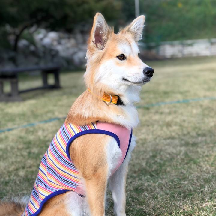 D7b23ee4 ef5a 49db 8c67 ea003bf80223 1540017959441