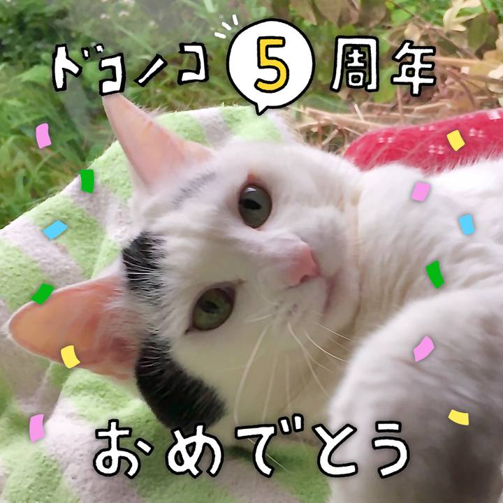 D7b24641 e2fc 45ba 8ac5 186c90159d3c 1622867742459