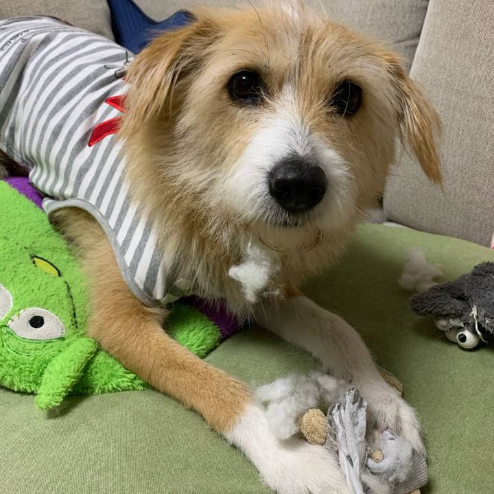 D7b250ea 7b2d 471e bf13 e6a2bf13bc57 1581344076978