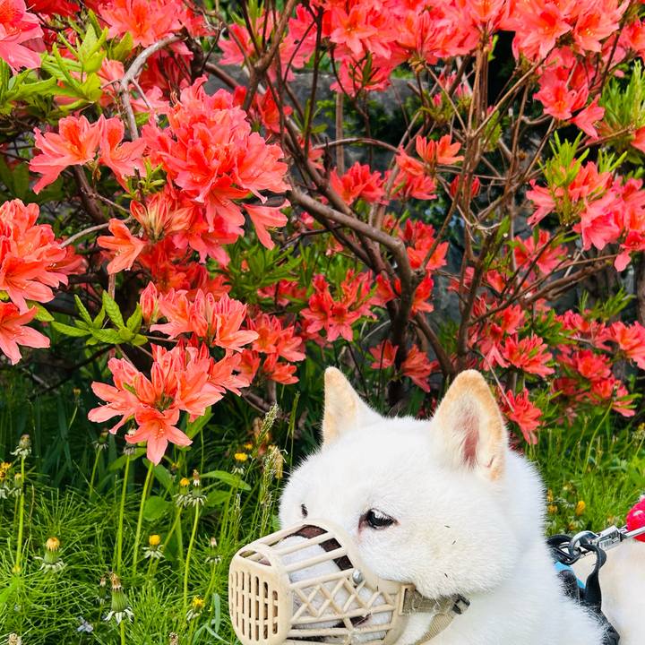 D7b25780 5f6f 4c8d a4e9 d71599018a21 1748292327322