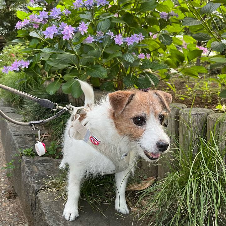 D7b26ae7 e396 4a89 b722 c1e88054285c 1717854400342