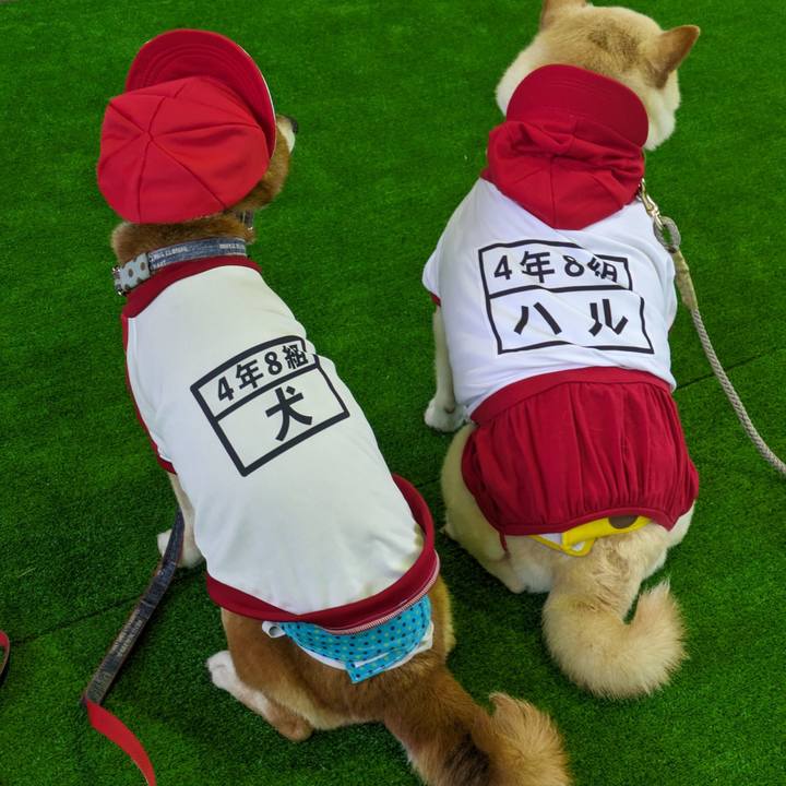 D7b283a1 fbf8 4181 916d e6c4121cc6ce 1714371253245