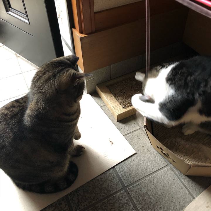 D7b28e83 95f5 4136 87d6 d31202e44f80 1602897540306