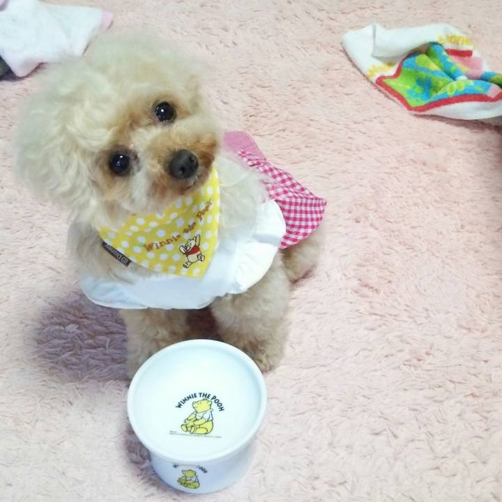 D7b29b50 96a8 4ed1 bdd5 b180cd6d48f1 1558784647610