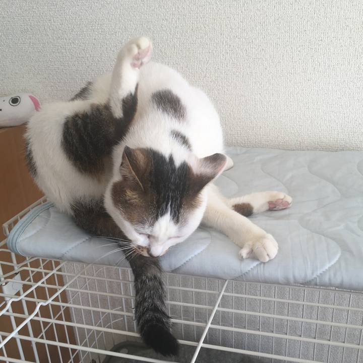 D7b2ab71 8e21 4ef5 84bc 16b5277347f6 1525569877534