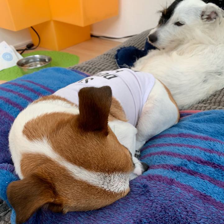 D7b2d693 4ef7 405f 9f3d 959e733b03d8 1559511600469