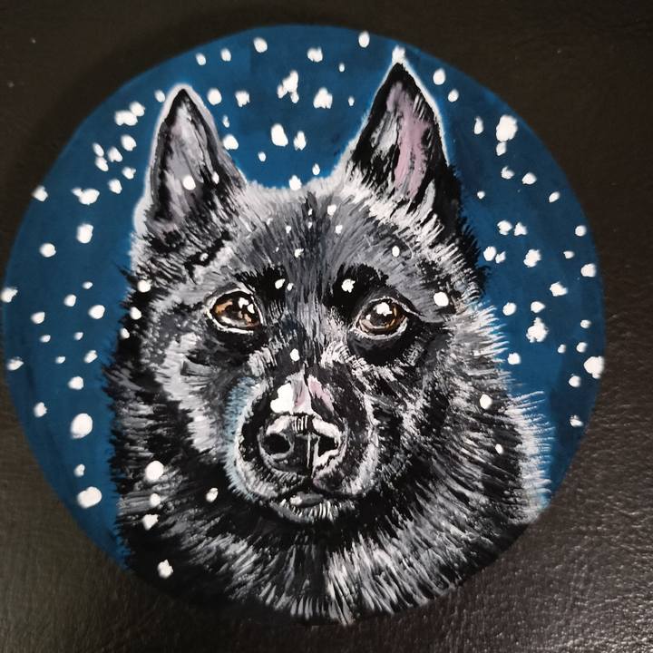 D7b2e4ff 95d7 429d 87a9 1a0e2a63f086 1707135767753