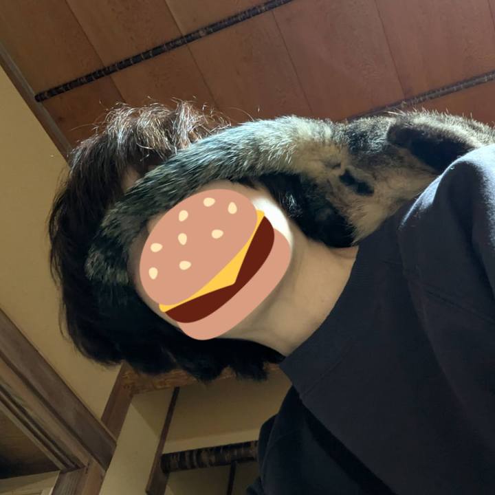 D7b318e6 c7ab 4a74 bad3 c684b1f218cf 1741517650937