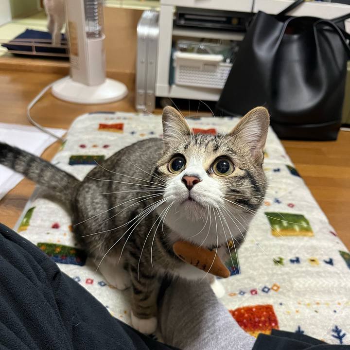 D7b31fe9 6b21 4749 931e 23e73d4c06ff 1710300121192