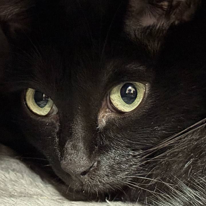 D7b34b05 474c 40a4 949e 9a67eed54105 1761542940994