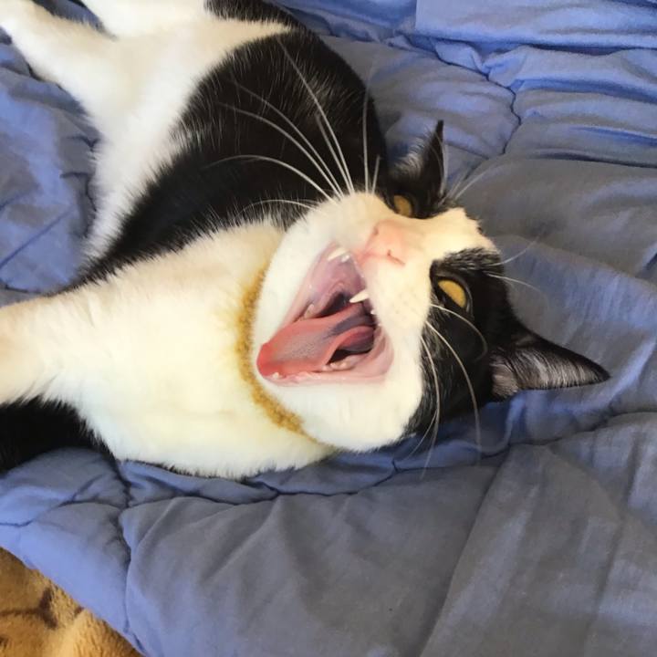 D7b35331 1e97 45fc 8f42 1568801140ed 1649395988080