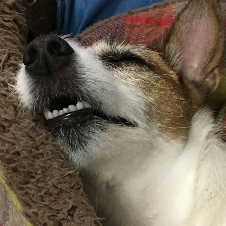 D7b39d92 48c8 430b 9028 b8b1e846746c 1565840278246