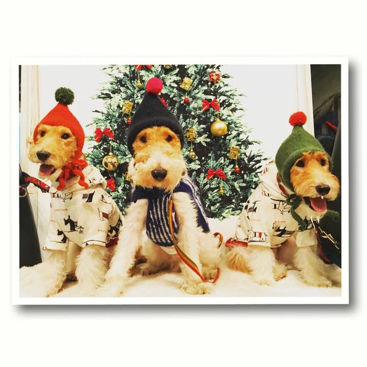 D7b3e2ab 1c21 4bd7 8864 87c29f8d523f 1512650652358