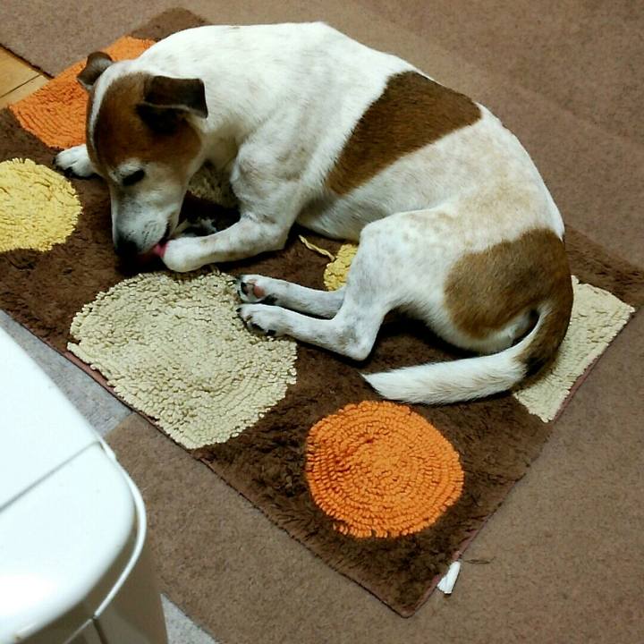 D7b3f338 bd32 45d6 846c 6db320a9a3ea 1517098697861